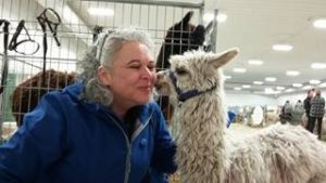 18217460_1432986753438204_938199963_n