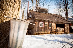 8d890746-2253-44ae-b16b-e7a0bc2c5398_ORIGINAL