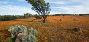 c27cad26f4d202173674277ad6bedae0