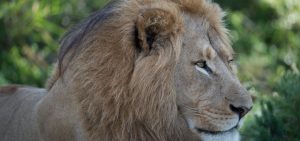 c5077a6e0885939380df07957e26022f