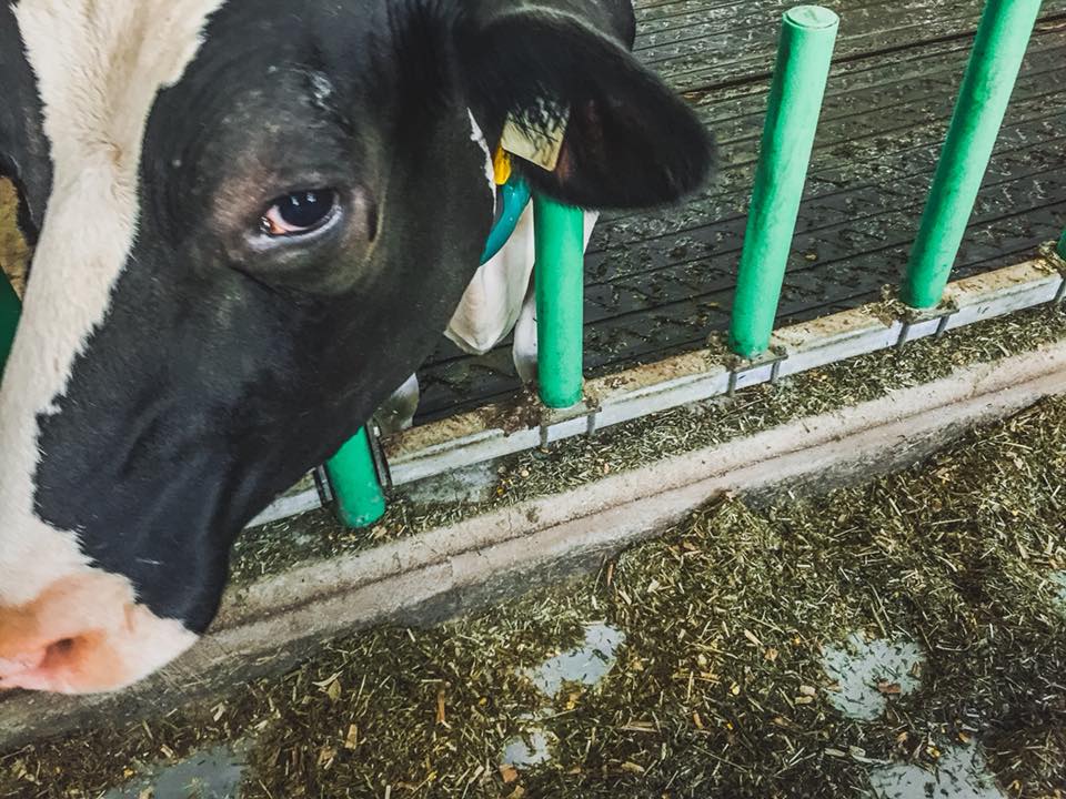 Séance d’information pour les propriétaires de terres agricoles, ce