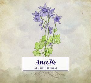 Ancolie_cover album