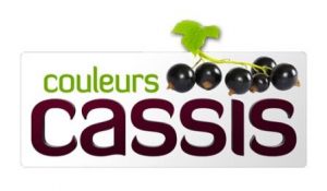 Couleur Cassis