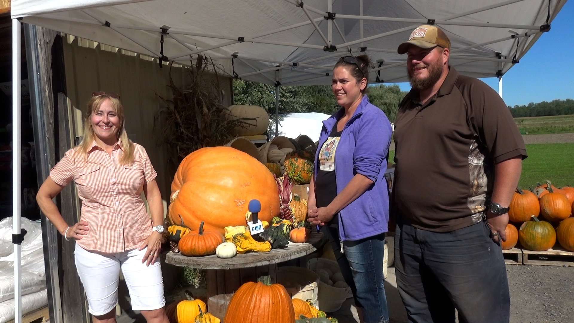 Saison 2020 19 On découvre le monde des courges et citrouilles à La