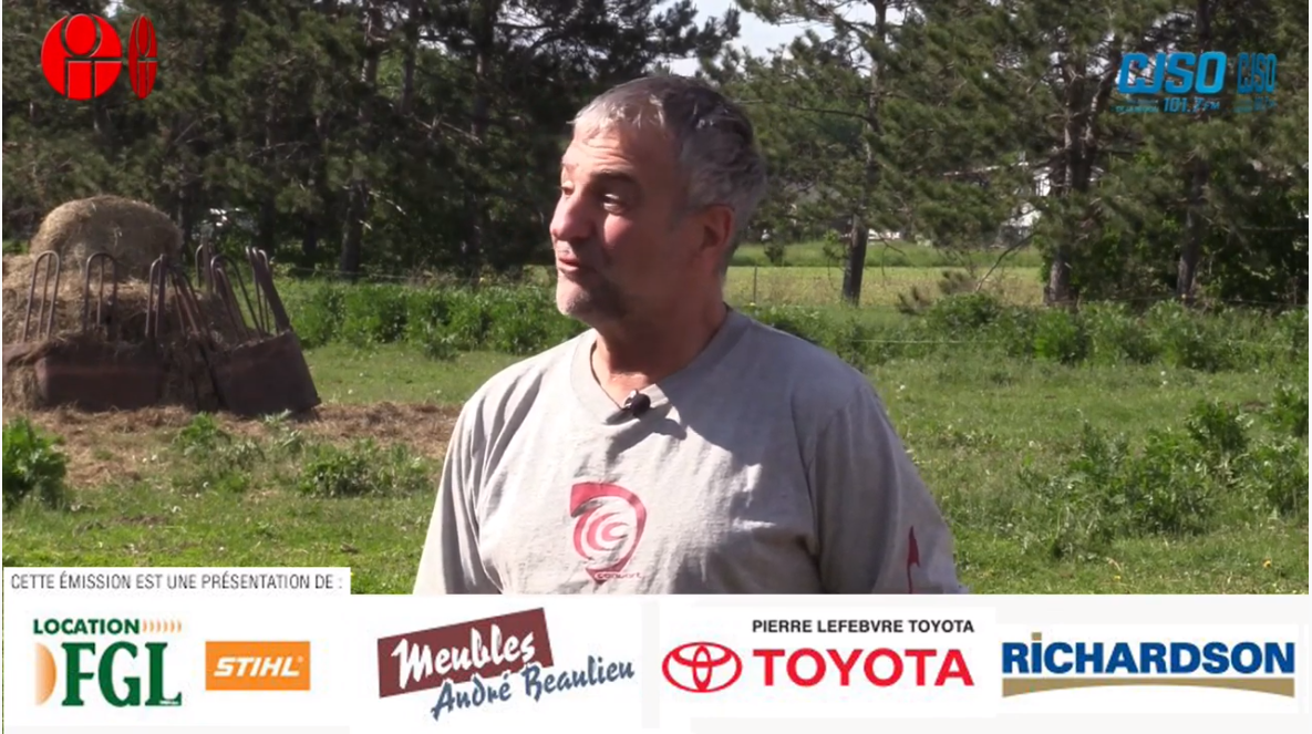 L’élevage de veaux à SaintVictoire CJSO