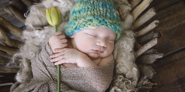 A newborn baby, wearing a gnome hat, holds a tulip as she lays sleeping in a basket.